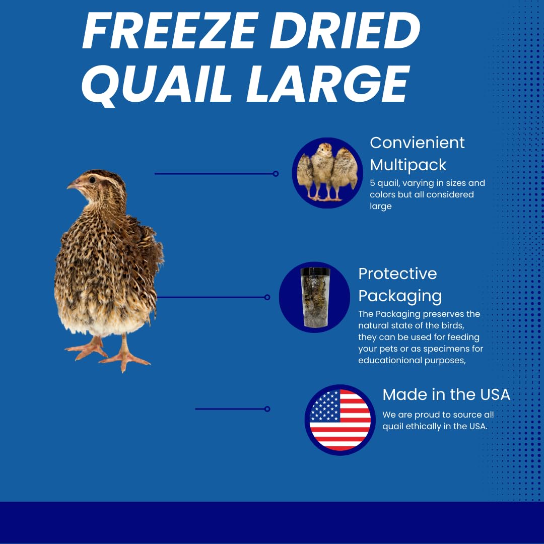 Bird Dog Training Quail - Premium Freeze-Dried Whole Quail for Dogs 5ct, Large (Chick) - Natural Prey Feeding Quality Protein Pet Treats - Your Pet Connection