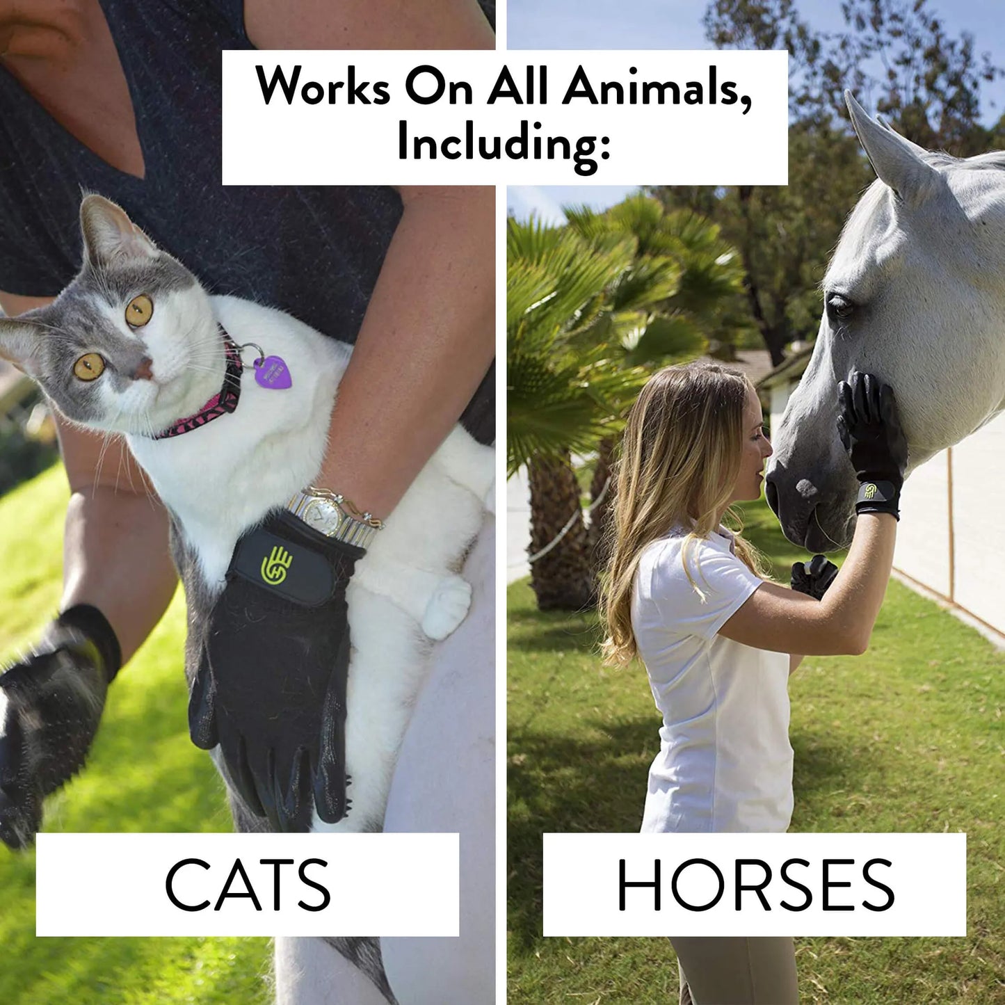 HandsOn Gloves - Your Pet Connection