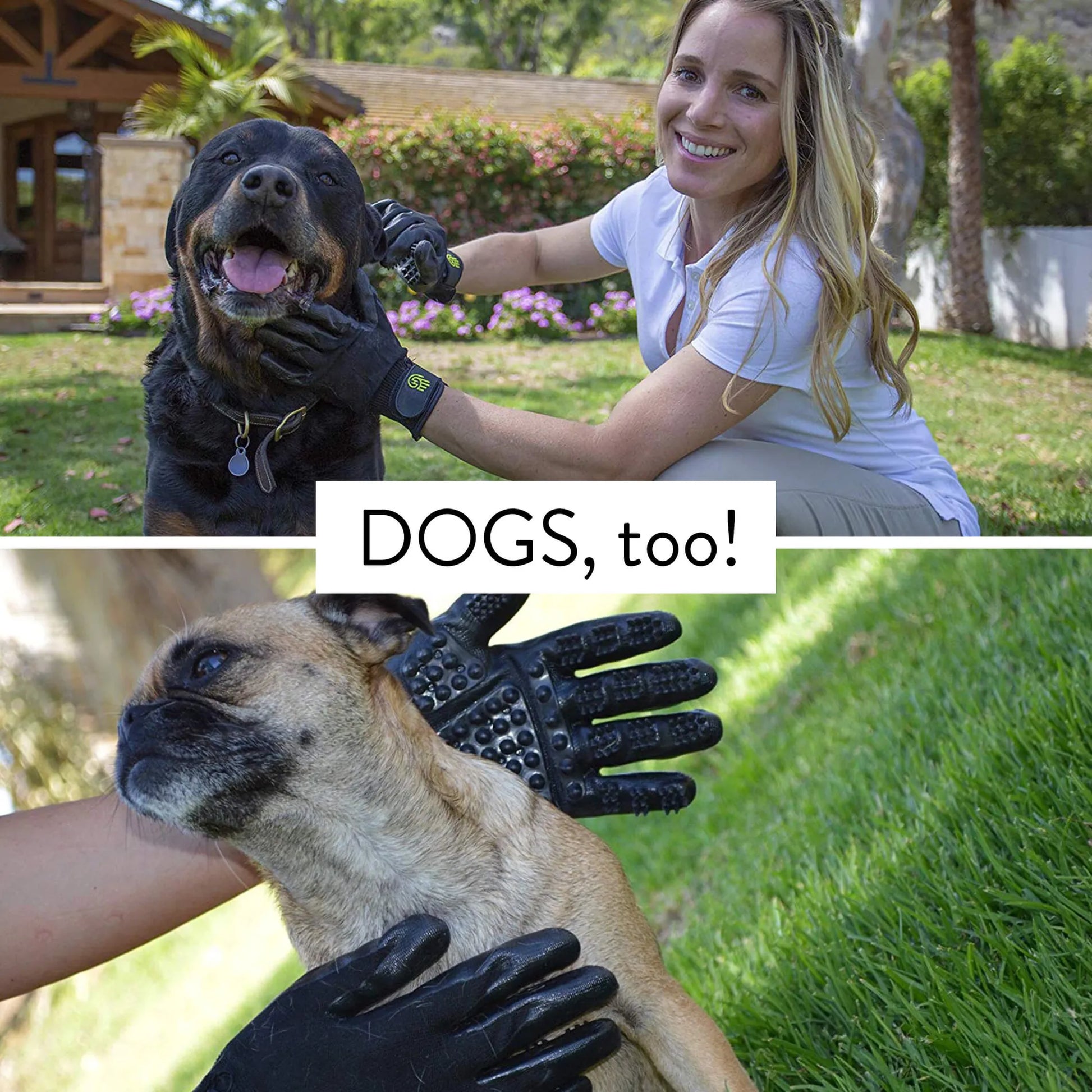 HandsOn Gloves - Your Pet Connection