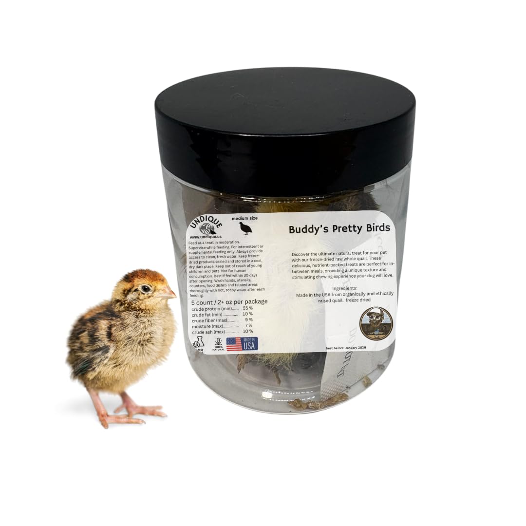 Whole Quail Chick for Carnivore Pets - Natural Prey Feeding - Quality Protein Source Medium Size Chicks 5 Count - Your Pet Connection