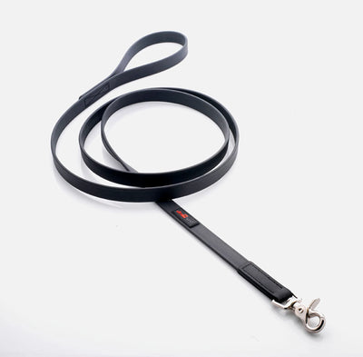 Boss Regular Leash - Your Pet Connection