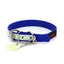 Play Glow Collar - Your Pet Connection