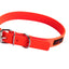 Play Regular Collar - Your Pet Connection