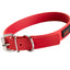 Play Regular Collar - Your Pet Connection