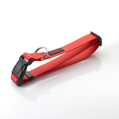 Play Adjustable Collar - Your Pet Connection