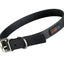 Play Regular Collar - Your Pet Connection