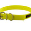 Play Regular Collar - Your Pet Connection