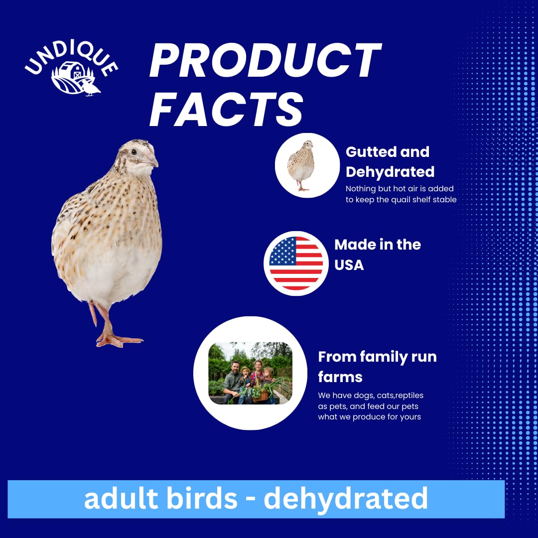 Quail Whole Pray dehydrated for Bird Dog Training or Falconry - Your Pet Connection