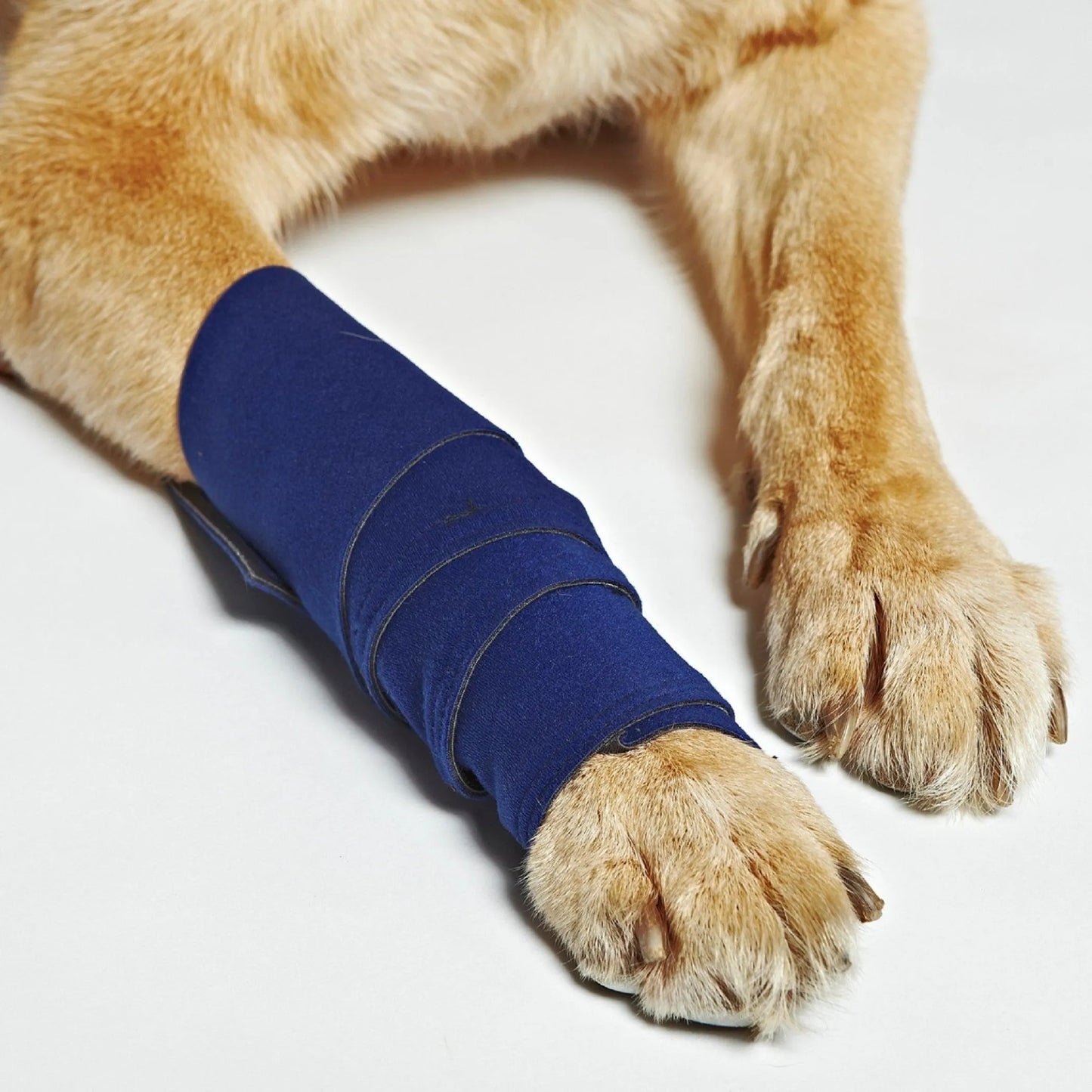 Healers Elastic Wrap Leg Bandage (with Gauze) - Your Pet Connection