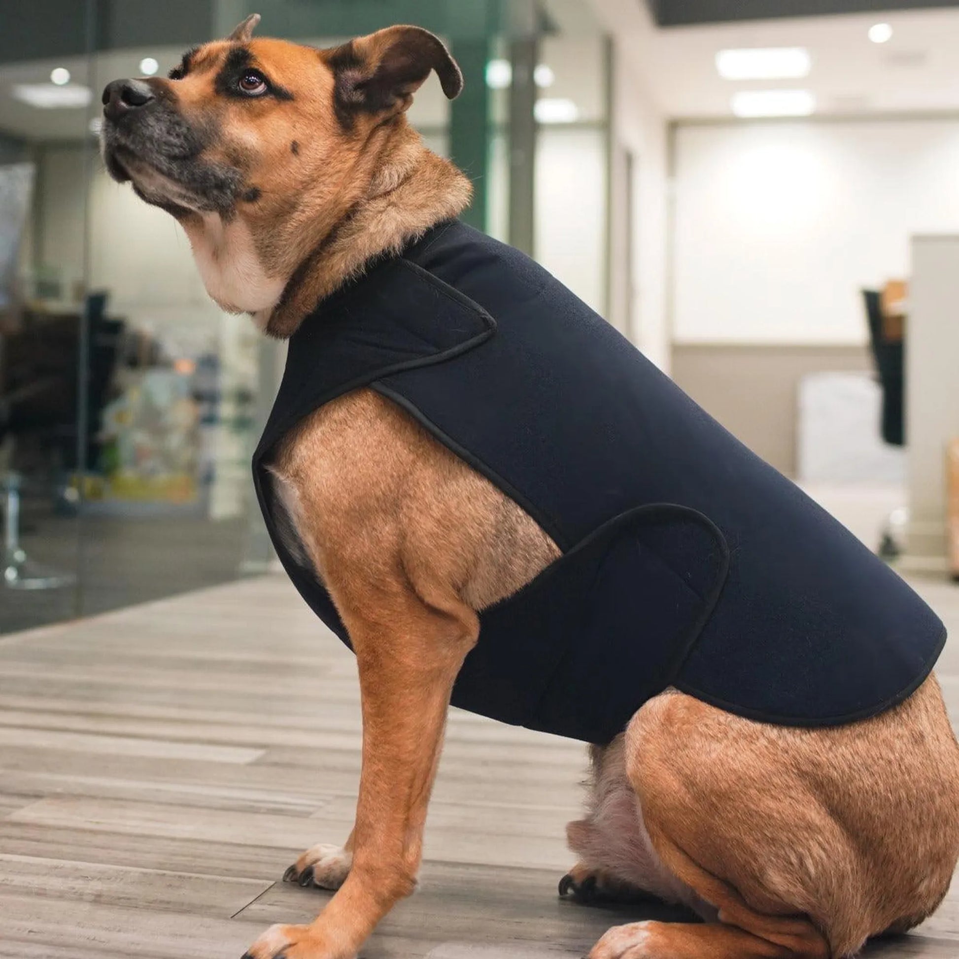 Healers Therapeutic & Anxiety Front Body Wrap - Your Pet Connection