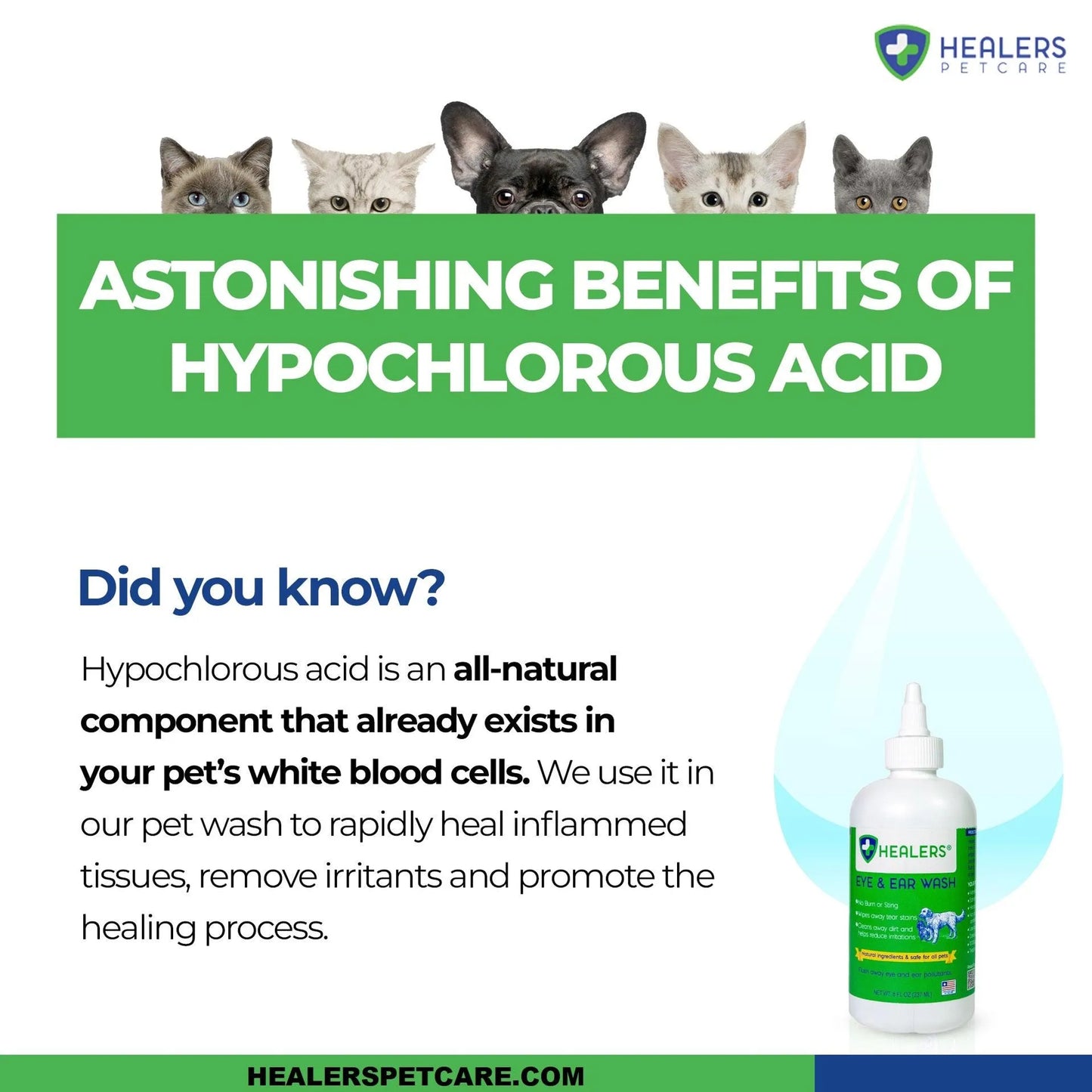 Healers Ear & Eye Wash Solution - Your Pet Connection
