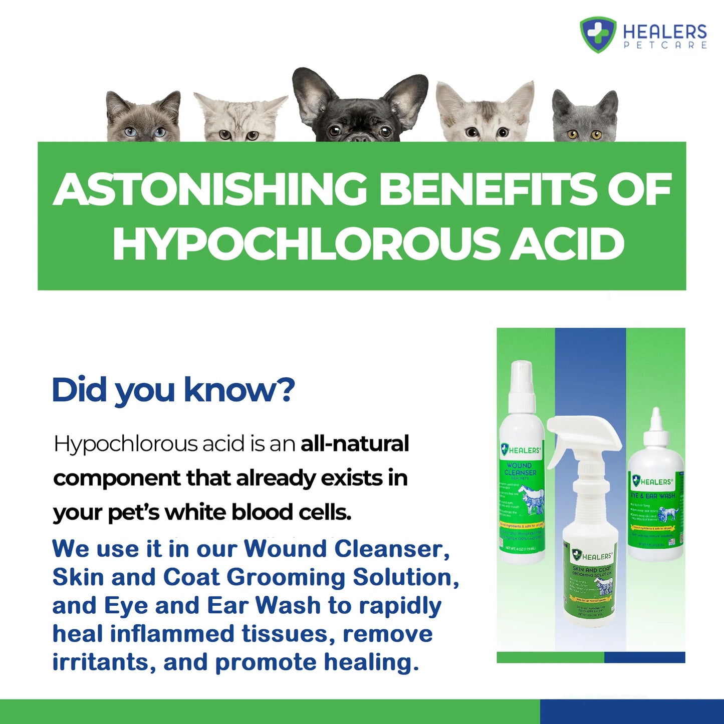 Healers Skin & Coat Grooming Solution - Your Pet Connection