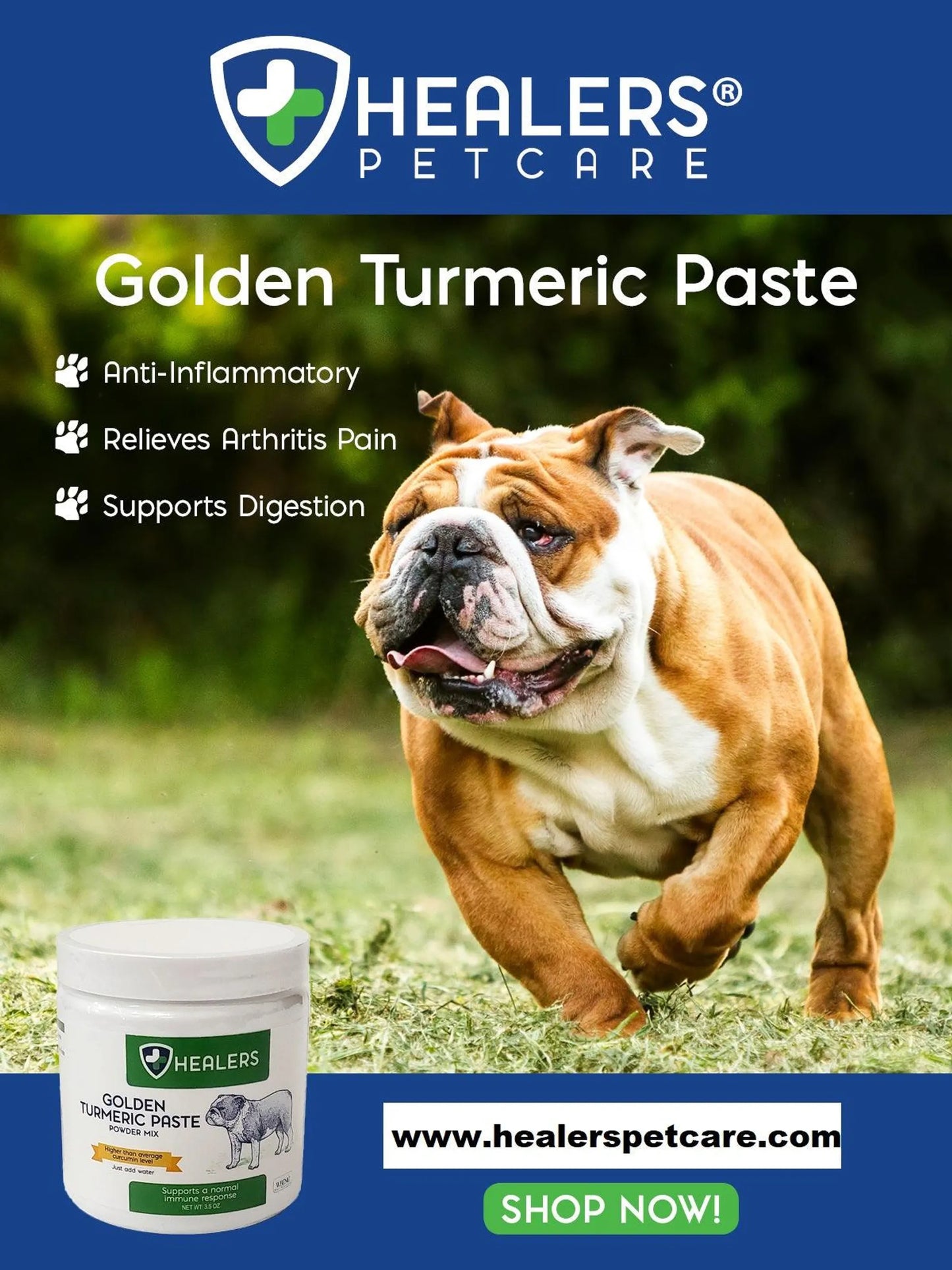 Healers Golden Turmeric Paste for Dogs - Your Pet Connection