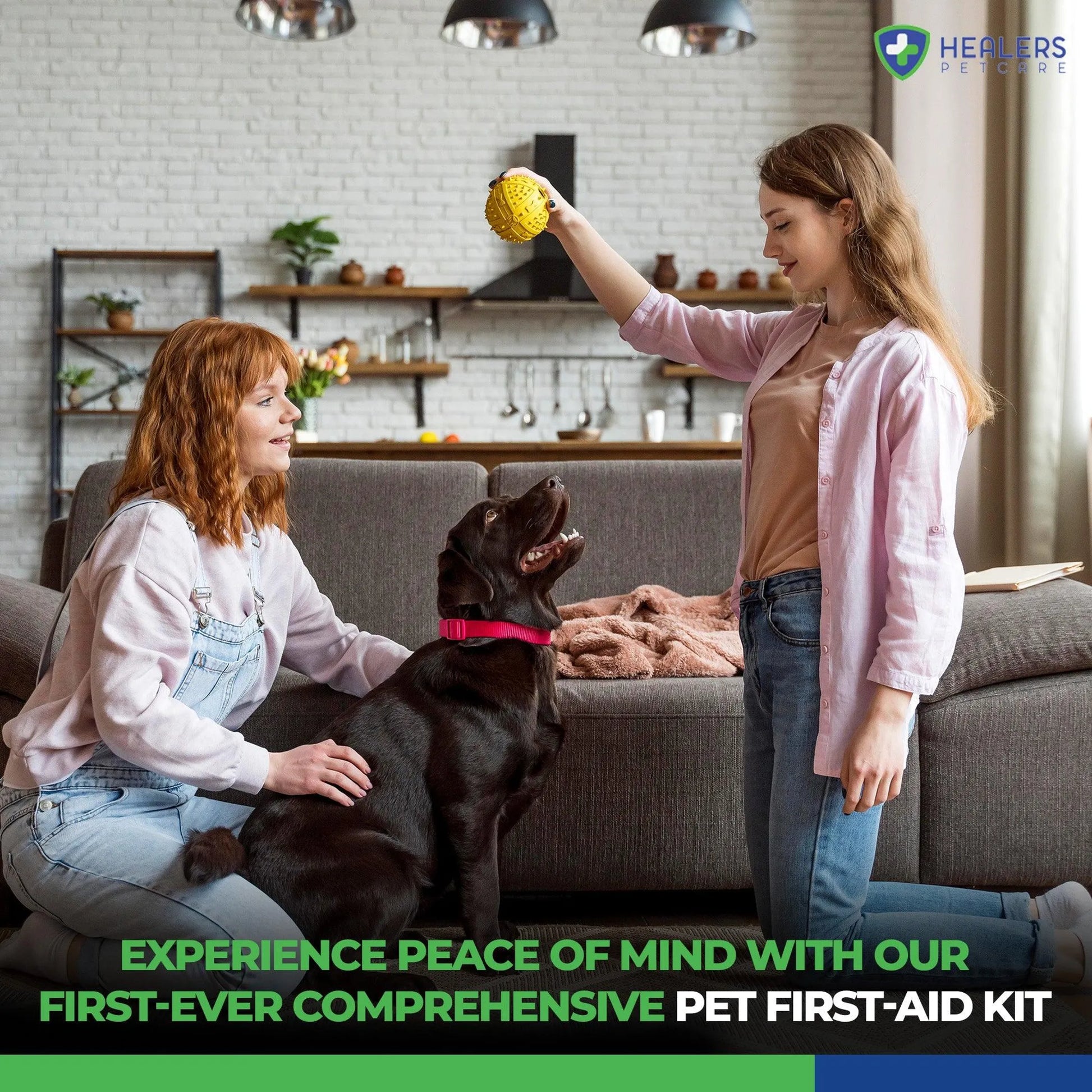 Healers Comprehensive First Aid Kit - Your Pet Connection