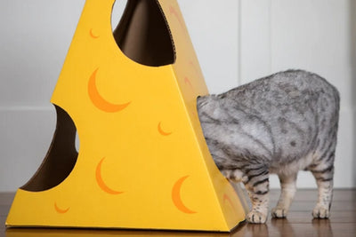 Monster Cheese Wedge Cardboard Cat House - Your Pet Connection