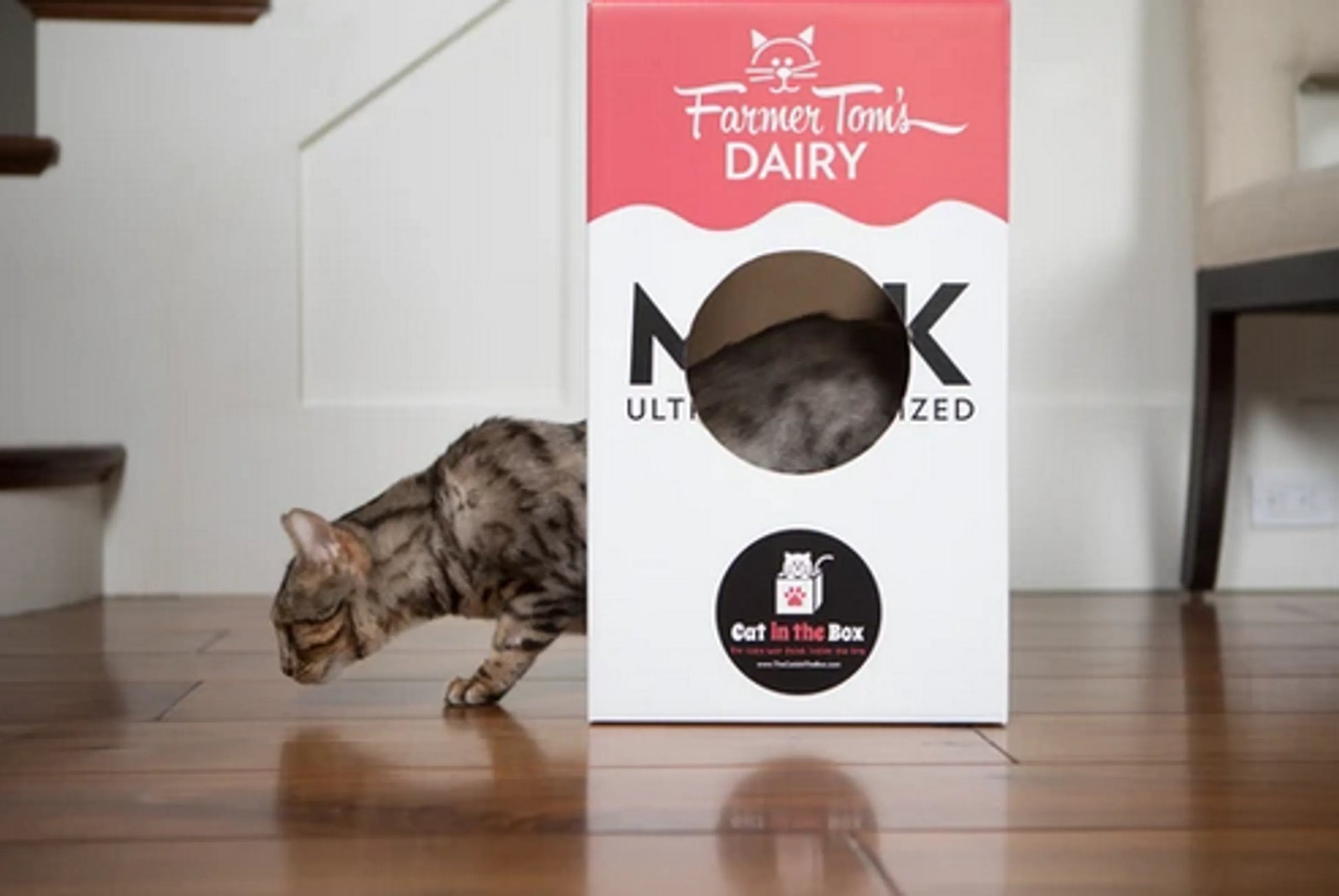 Mega Milk Carton Cardboard Cat House - Your Pet Connection