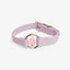 All Eyes On Me Collar - Your Pet Connection