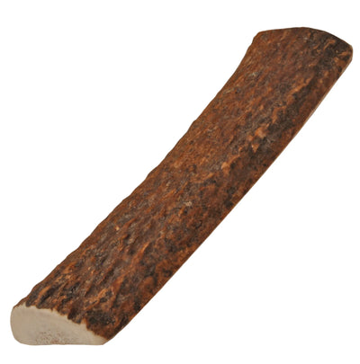 Natural Elk Antlers - Your Pet Connection