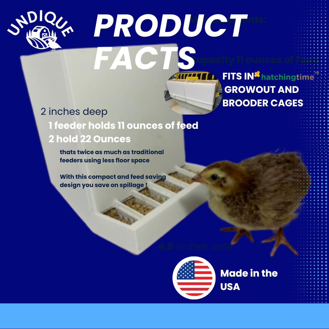 Button Quail Feeders (2), Adjustable Spill-Resistant Design Made in USA - Your Pet Connection