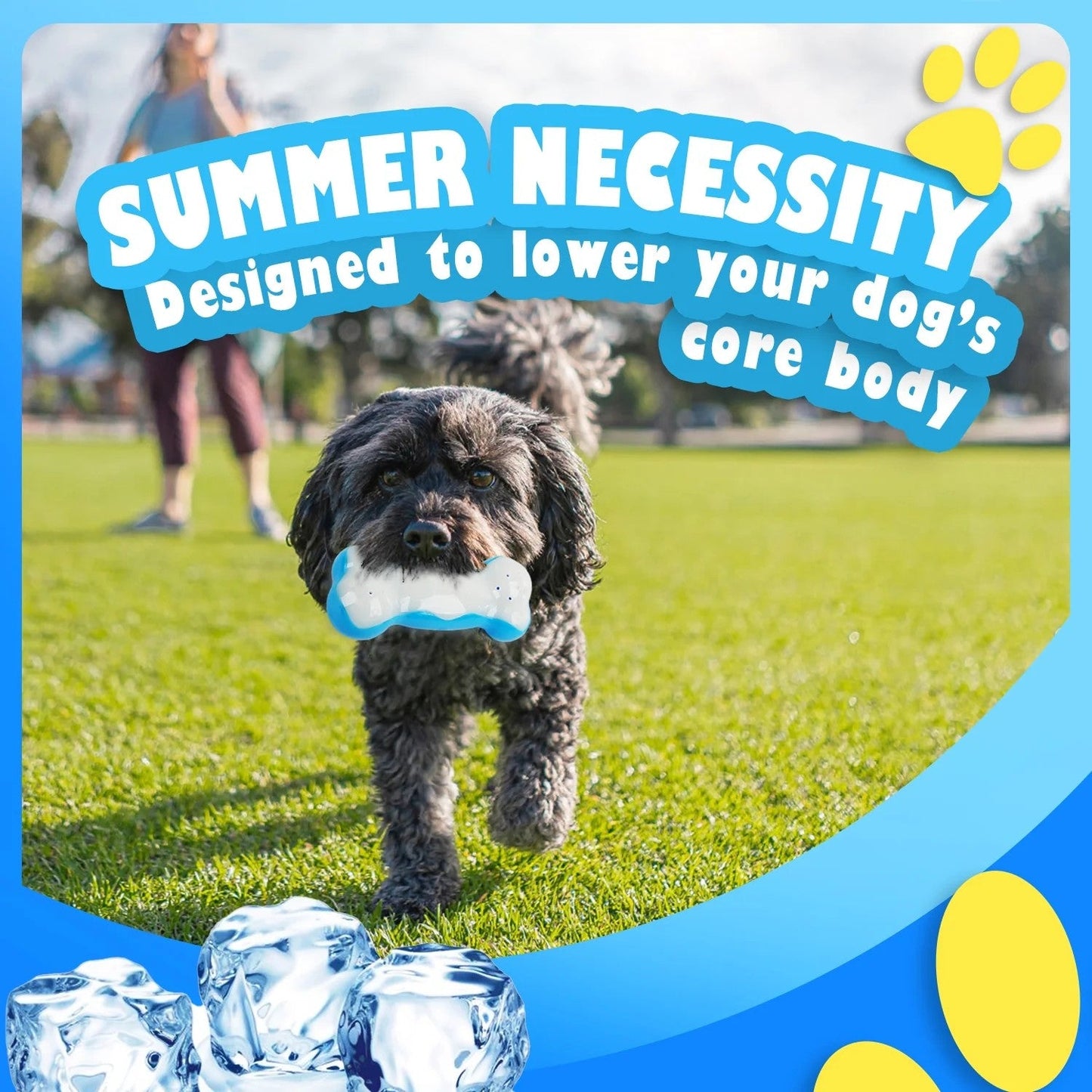 Chill Out - Bite Resistance Dog Cooling Chew Toy for Summer Ice Bone