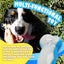 Chill Out - Bite Resistance Dog Cooling Chew Toy for Summer Ice Bone