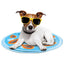Chill Out - Dog Cooling Mat - Cooling Mat for Summer