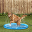 Chill Out - Sprinkler Fun Mat Cool Down Play Mat for Pets