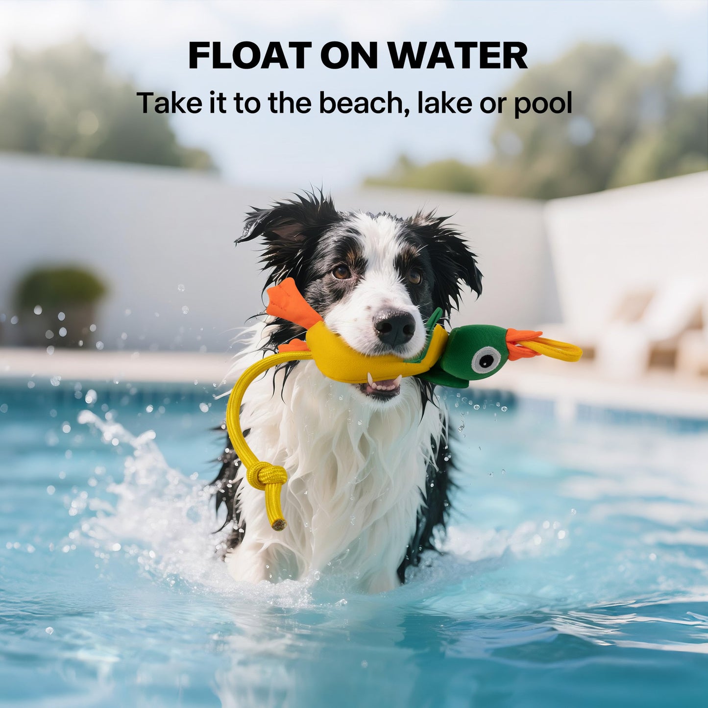 Chill Out - Dog fetch toy - Flying Mallard