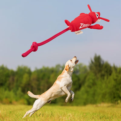 Chill Out - Dog fetch toy - Flying Lobster