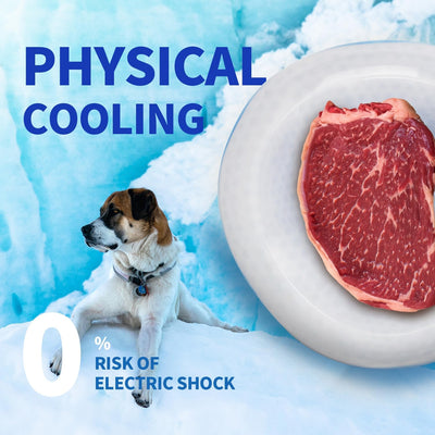 Chill Out - Dog Cooler Bowl - Pet Cooler Bowl Keeps Water Cool and Fresh for Hours