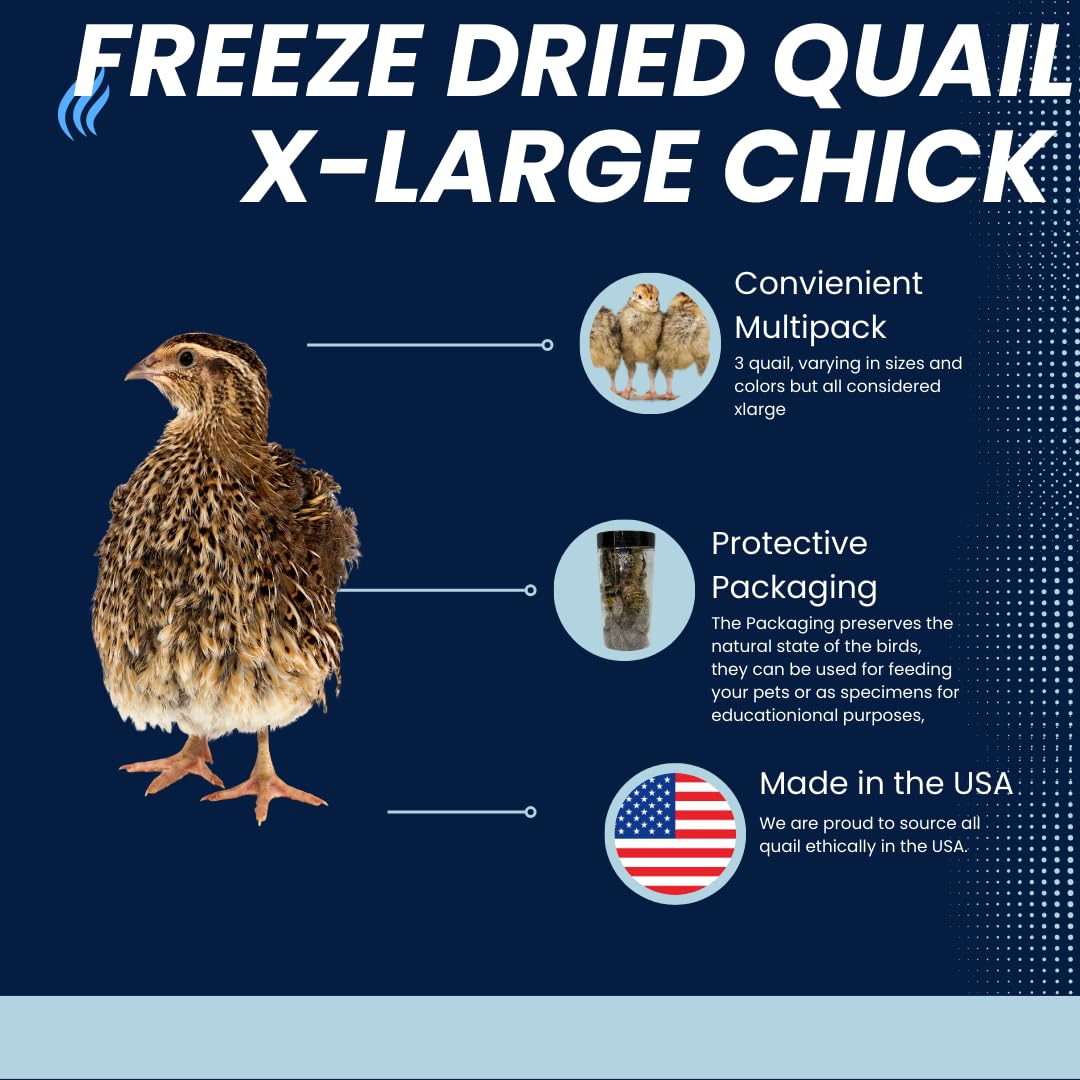 Buddy's Pretty Birds Whole Quail Chicks XL, 3 Count - Your Pet Connection