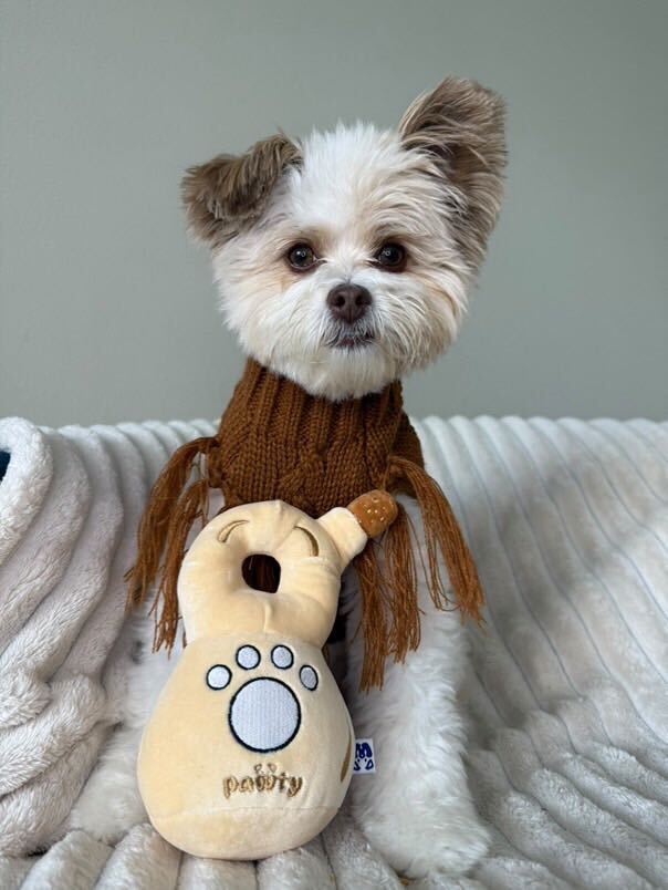 888 TEQUILA - Your Pet Connection