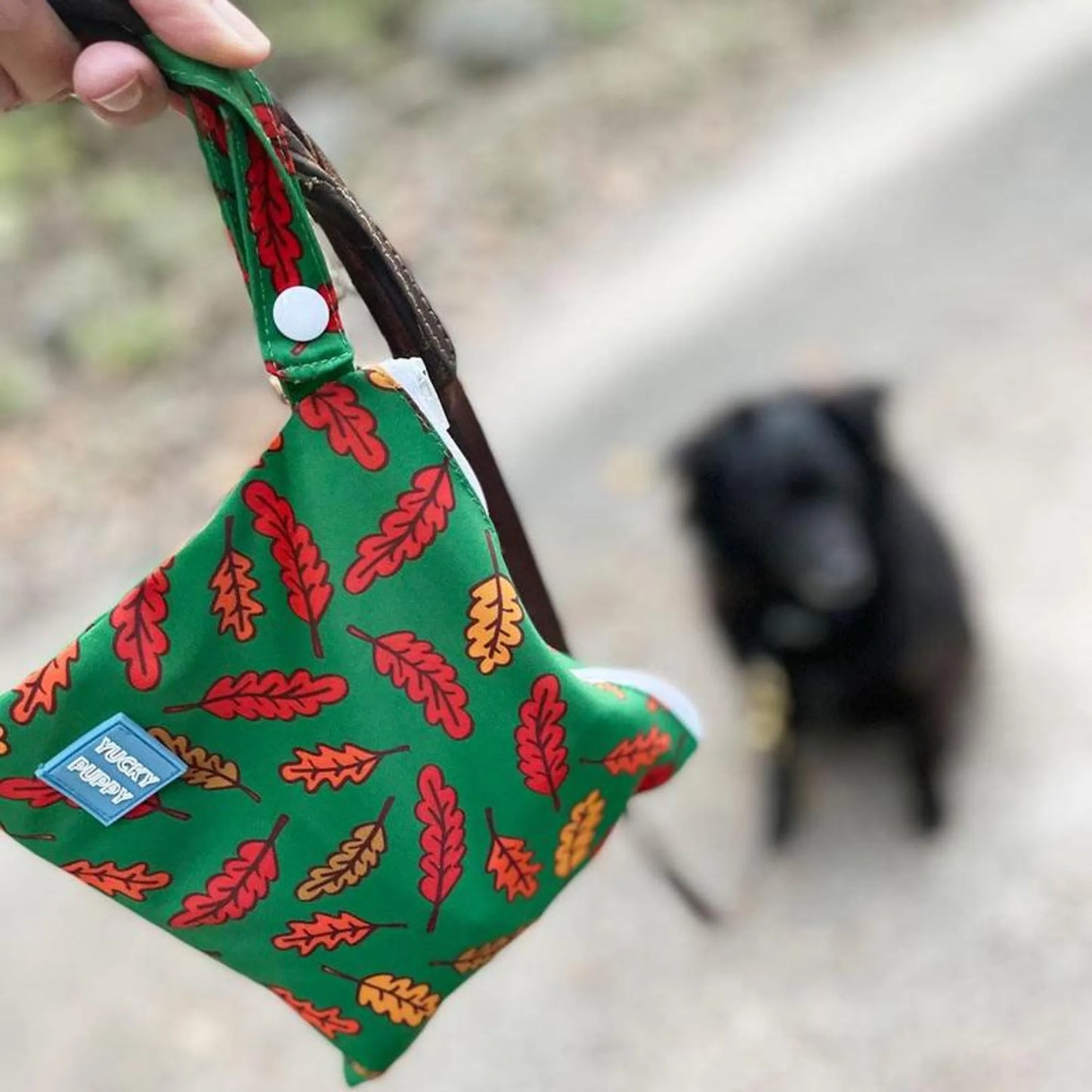 Fall Leaves Dog Poop Bag Holders, Extra Large Size - Your Pet Connection