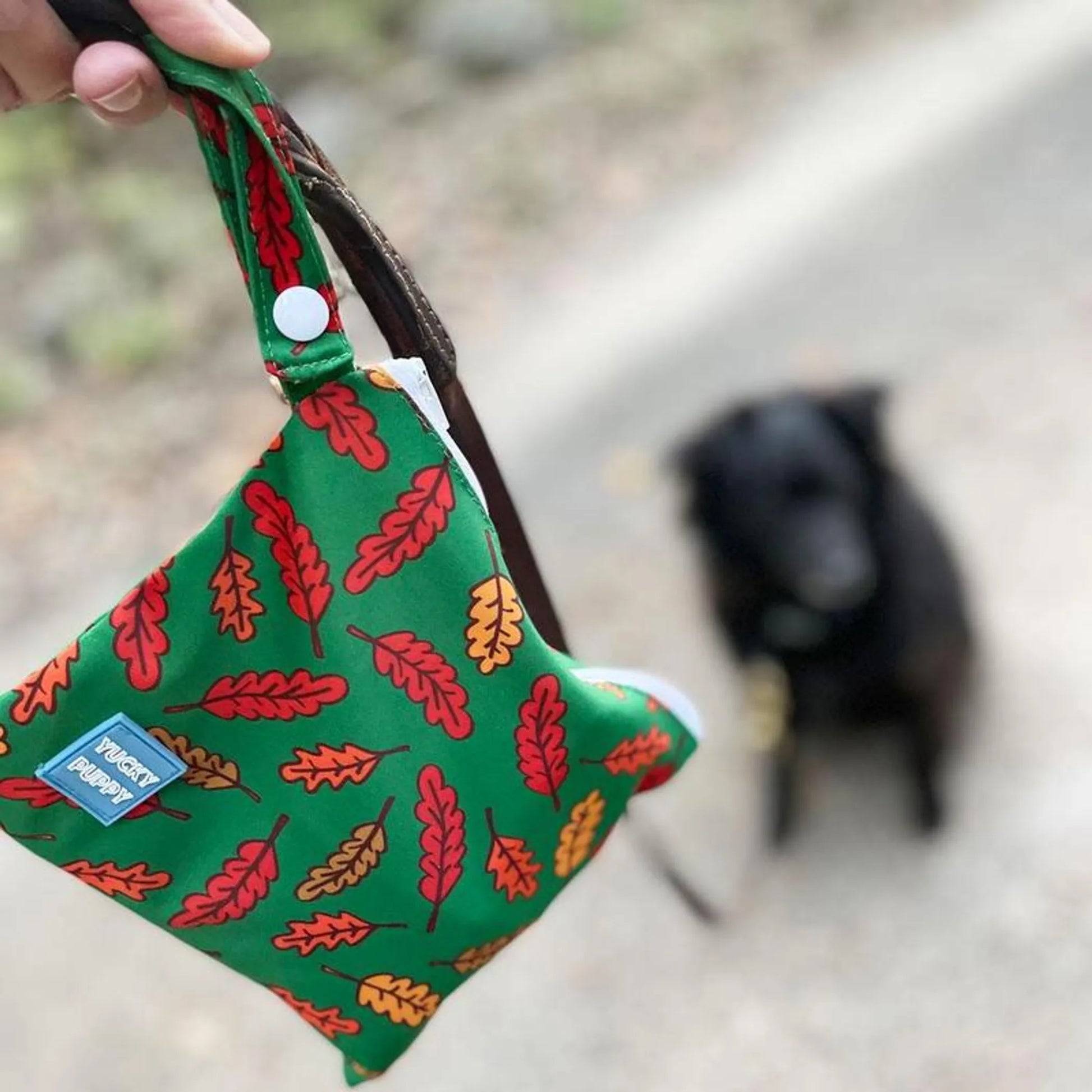 Fall Leaves Dog Poop Bag Holders, Extra Large Size - Your Pet Connection