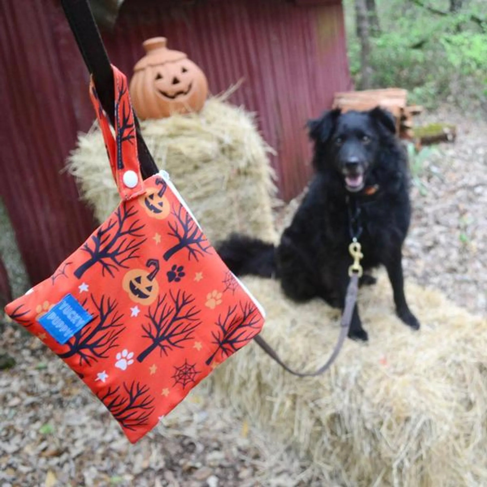 Halloween Yucky Puppy Poop Bag Carriers - Your Pet Connection