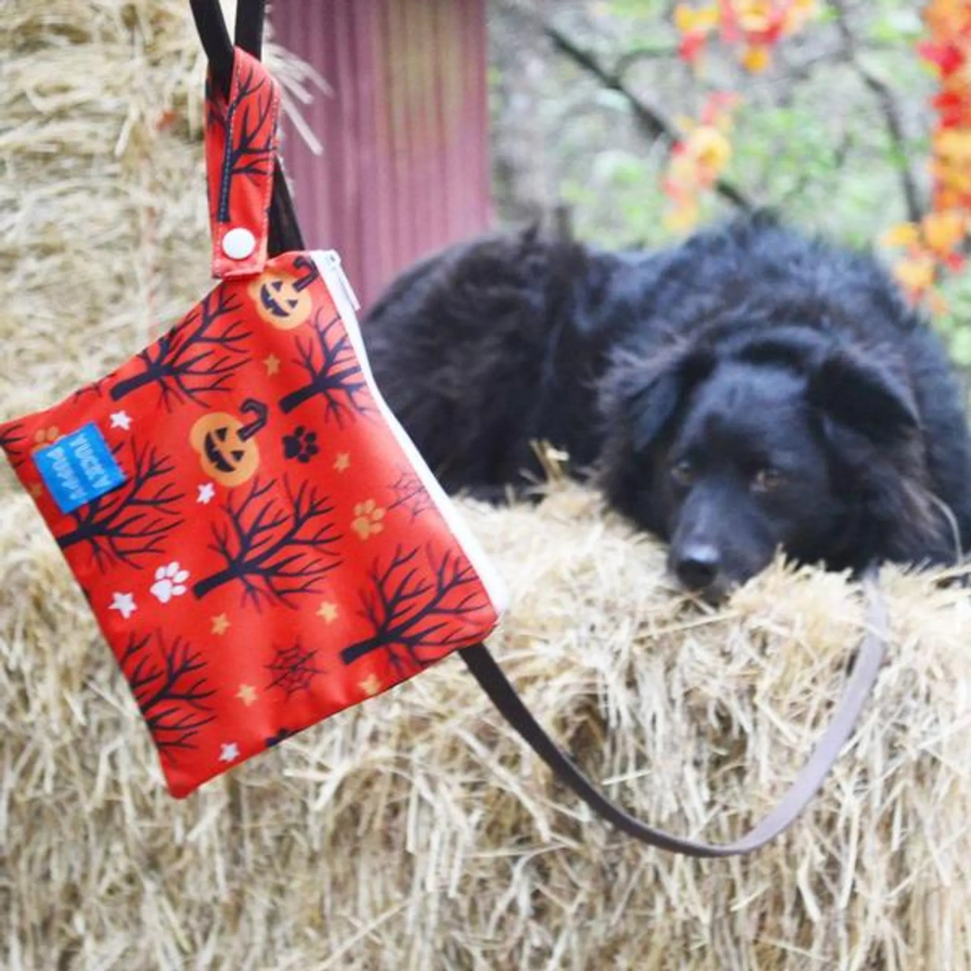 Halloween Yucky Puppy Poop Bag Carriers - Your Pet Connection
