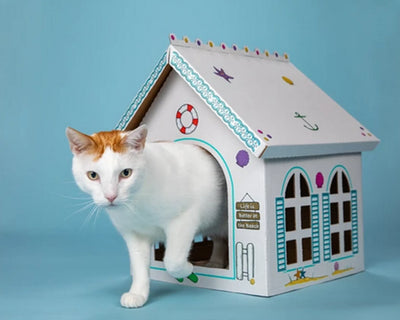 Breezy Beach Cottage Cardboard Cat Playhouse (Pack of 5) - Your Pet Connection