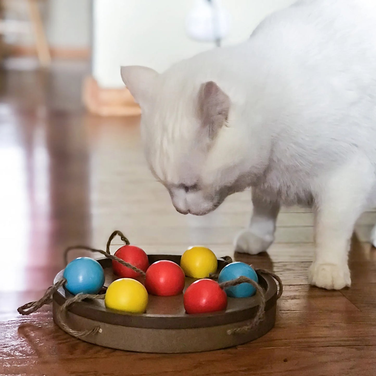 Brainiac Interactive Pet Toy - Your Pet Connection