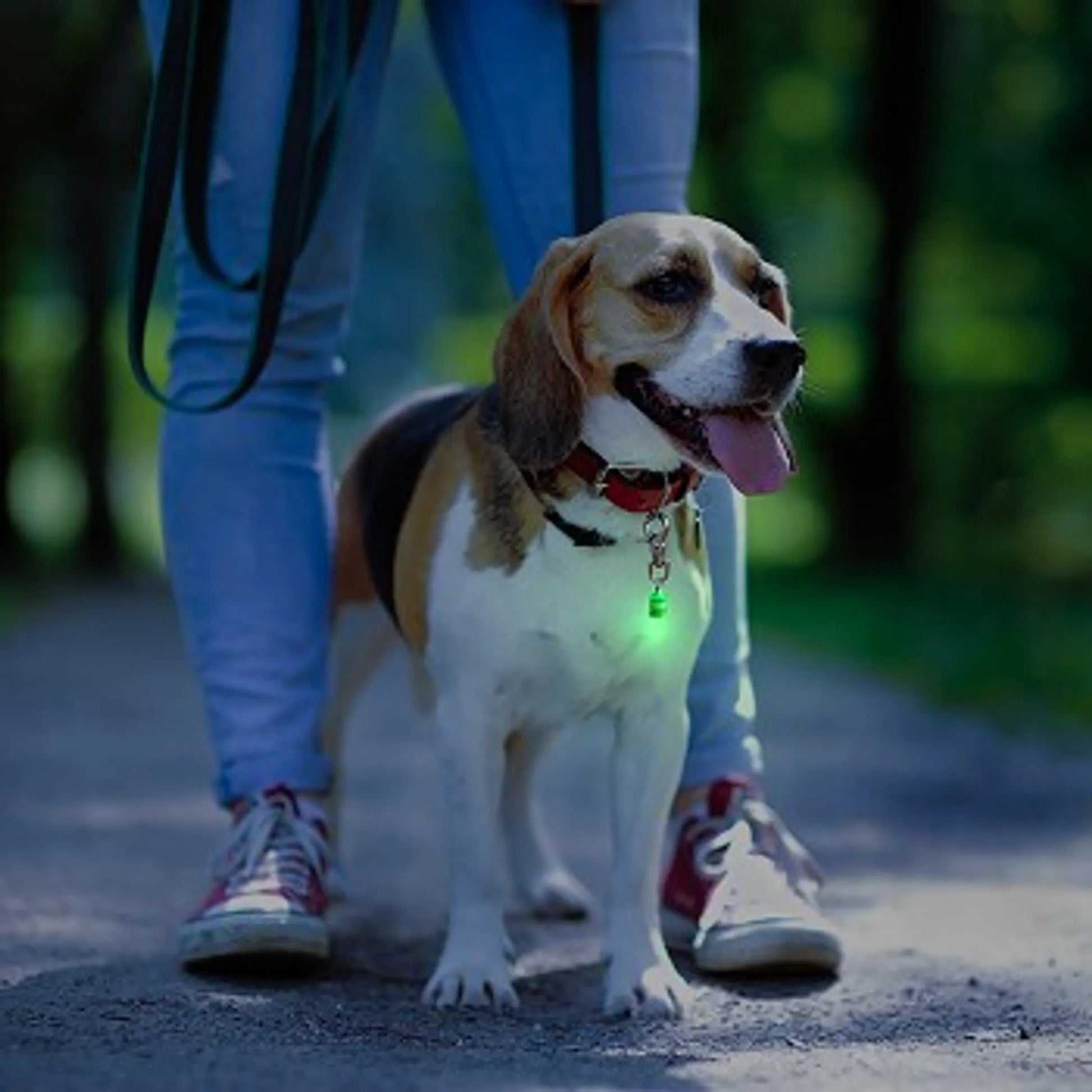 Pet Blinkers Flashing LED Pet Safety Light - Your Pet Connection