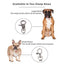 Flipo LED Pet Charm for Night Safety