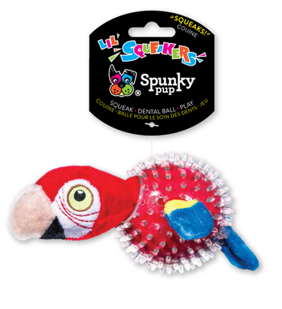 Parrot in Clear Spiky Ball - Your Pet Connection