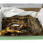 Quail Wing Dog Training Kit - Nutritious Dog Treats and Quail Wing for Effective Dog Training Sessions - Reinforce Positive Behaviors with Training Treats - Not Suitable for Small Breeds - Your Pet Connection