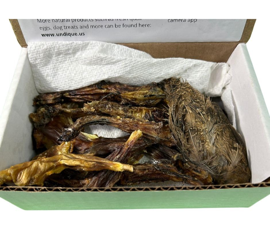 Quail Wing Dog Training Kit - Nutritious Dog Treats and Quail Wing for Effective Dog Training Sessions - Reinforce Positive Behaviors with Training Treats - Not Suitable for Small Breeds - Your Pet Connection