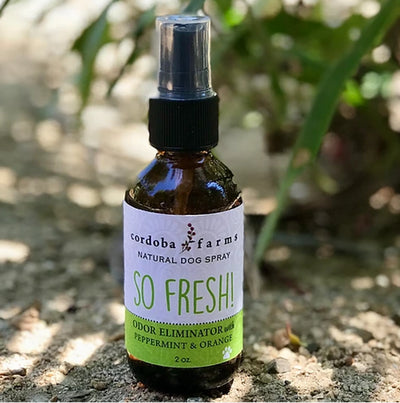 So Fresh! Spray - Your Pet Connection