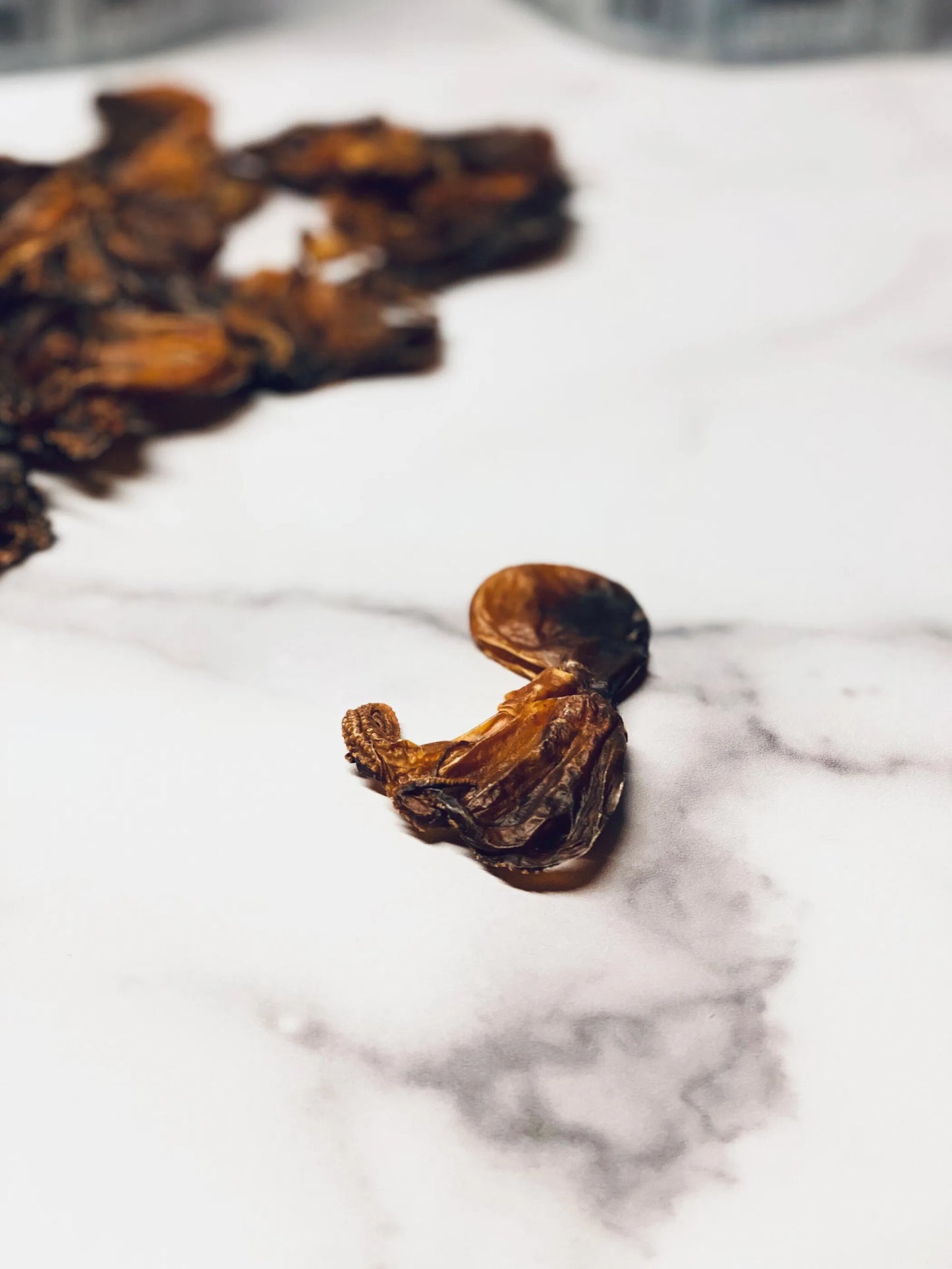 Mosaic Wild-Caught Octopus Jerky 150g