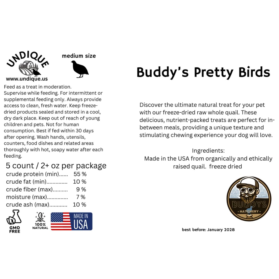 Whole Quail Chick for Carnivore Pets - Natural Prey Feeding - Quality Protein Source Medium Size Chicks 5 Count - Your Pet Connection