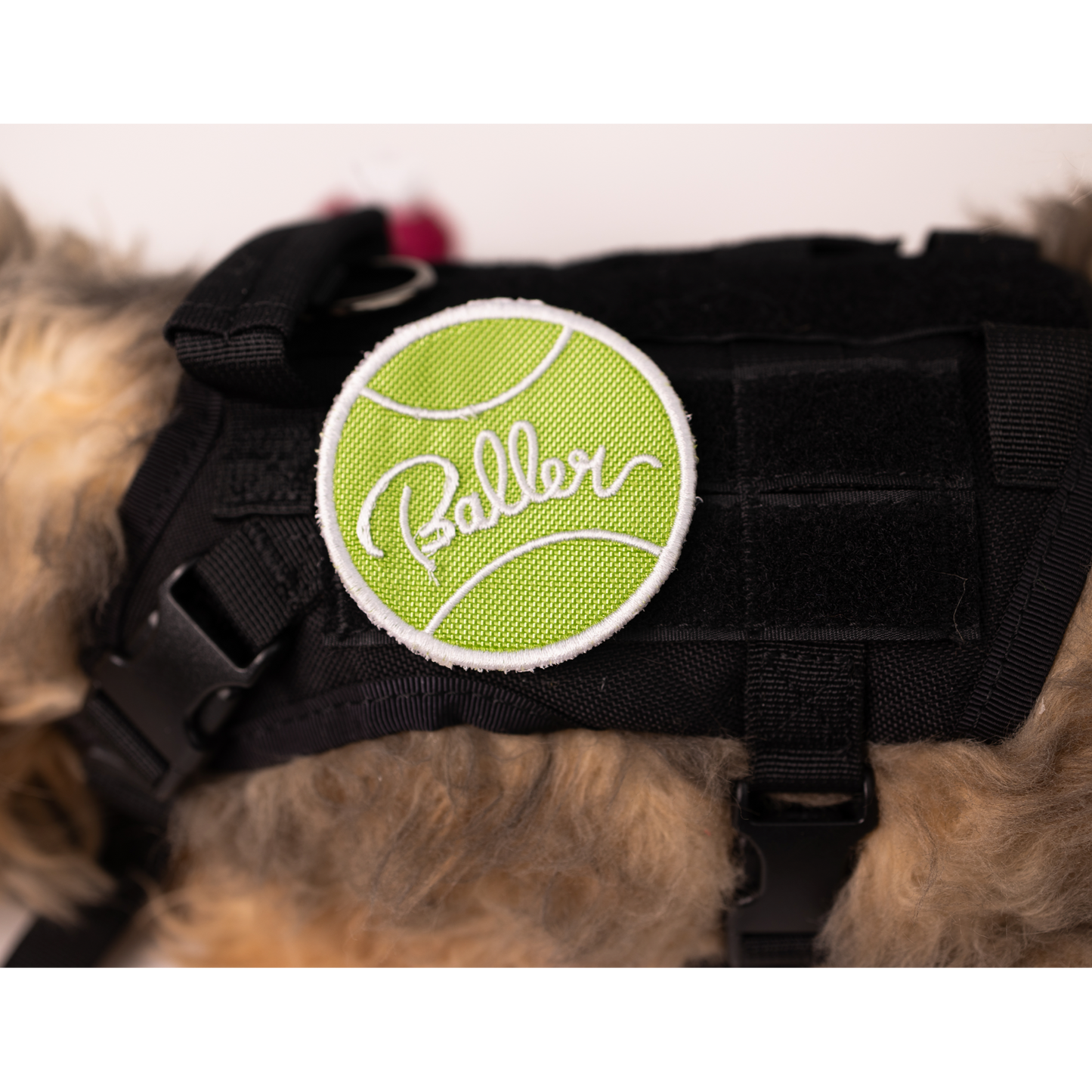 Baller Patch - Your Pet Connection