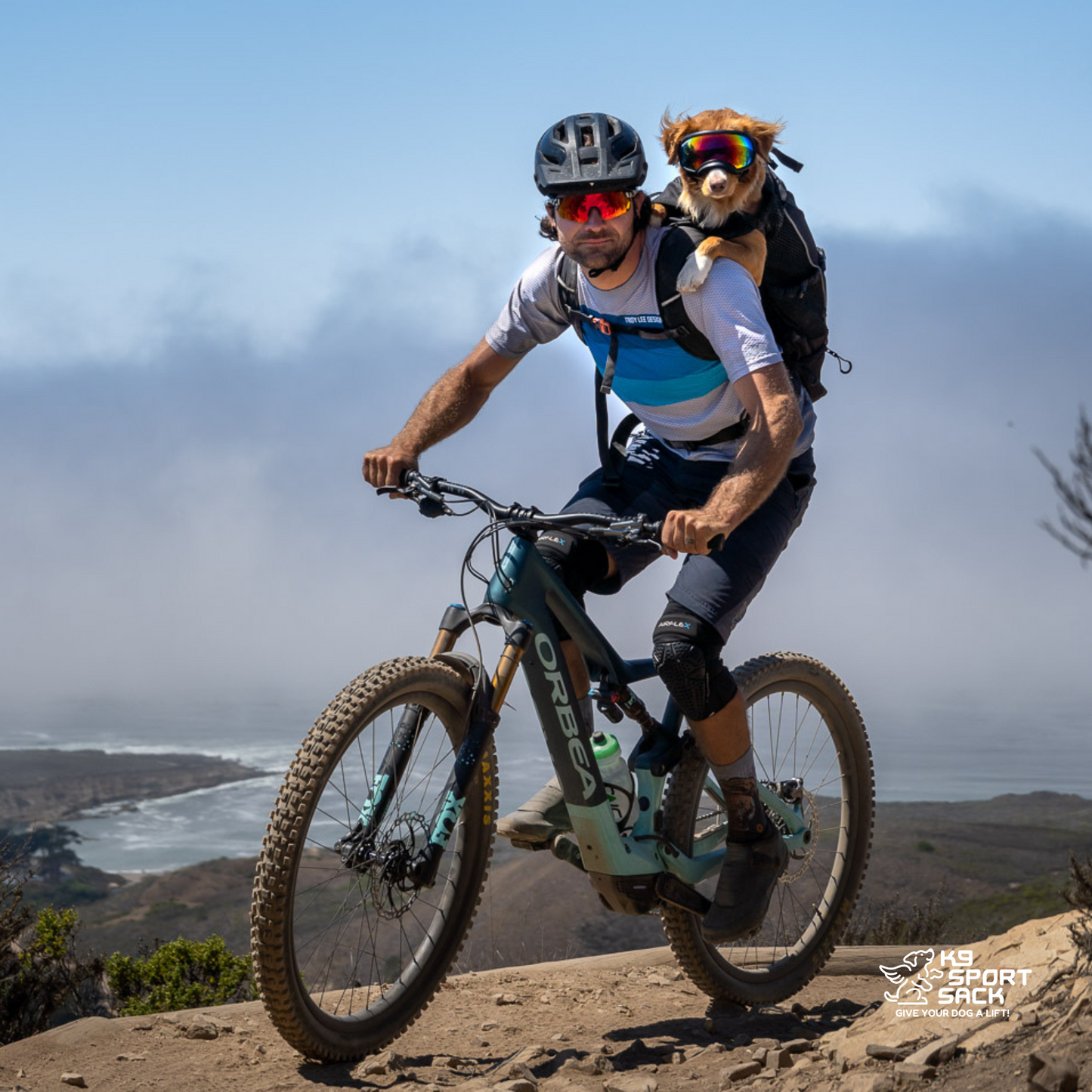 Knavigate | Advanced Dog Carrier with Internal Frame & Hip Belt - Your Pet Connection