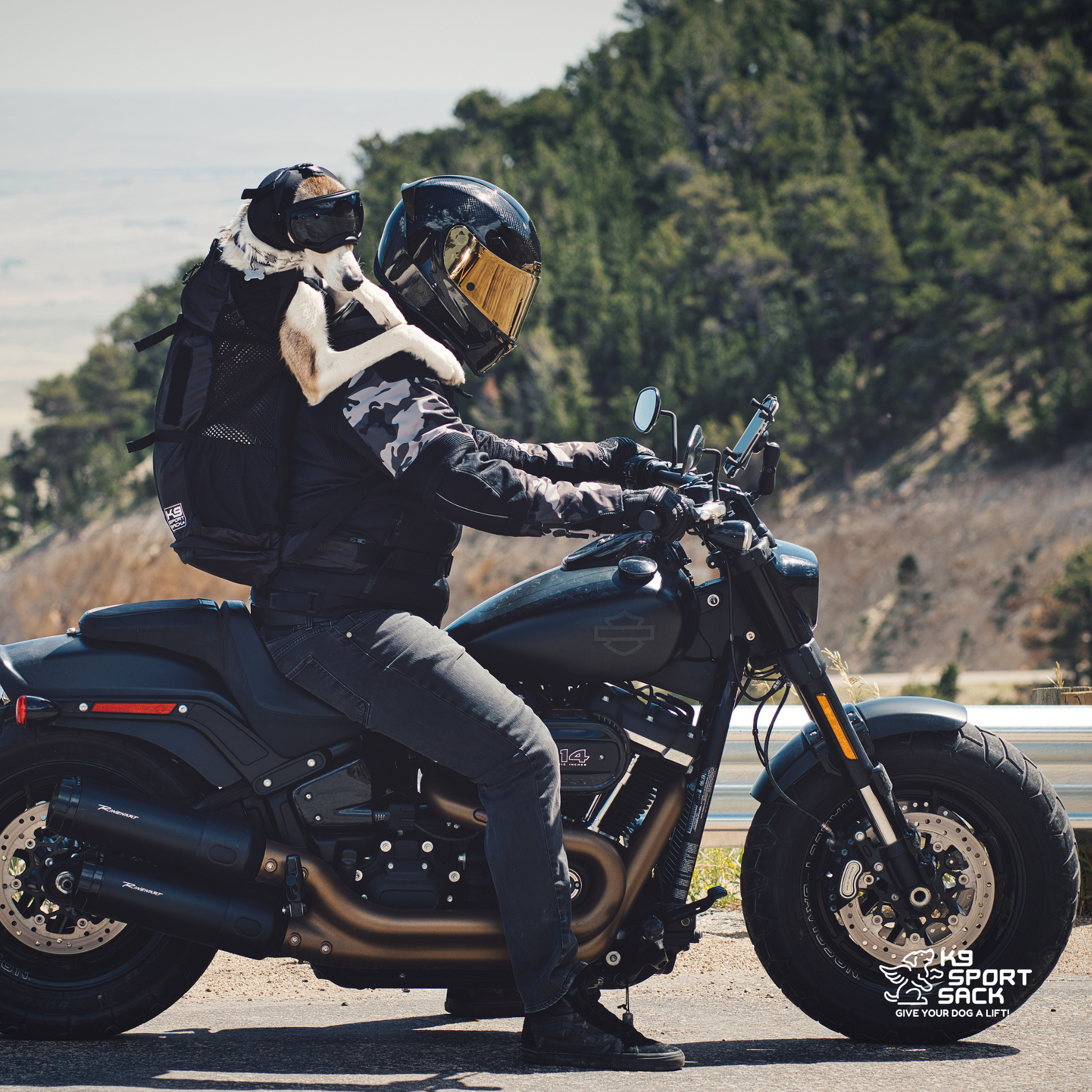 Knavigate | Advanced Dog Carrier with Internal Frame & Hip Belt - Your Pet Connection