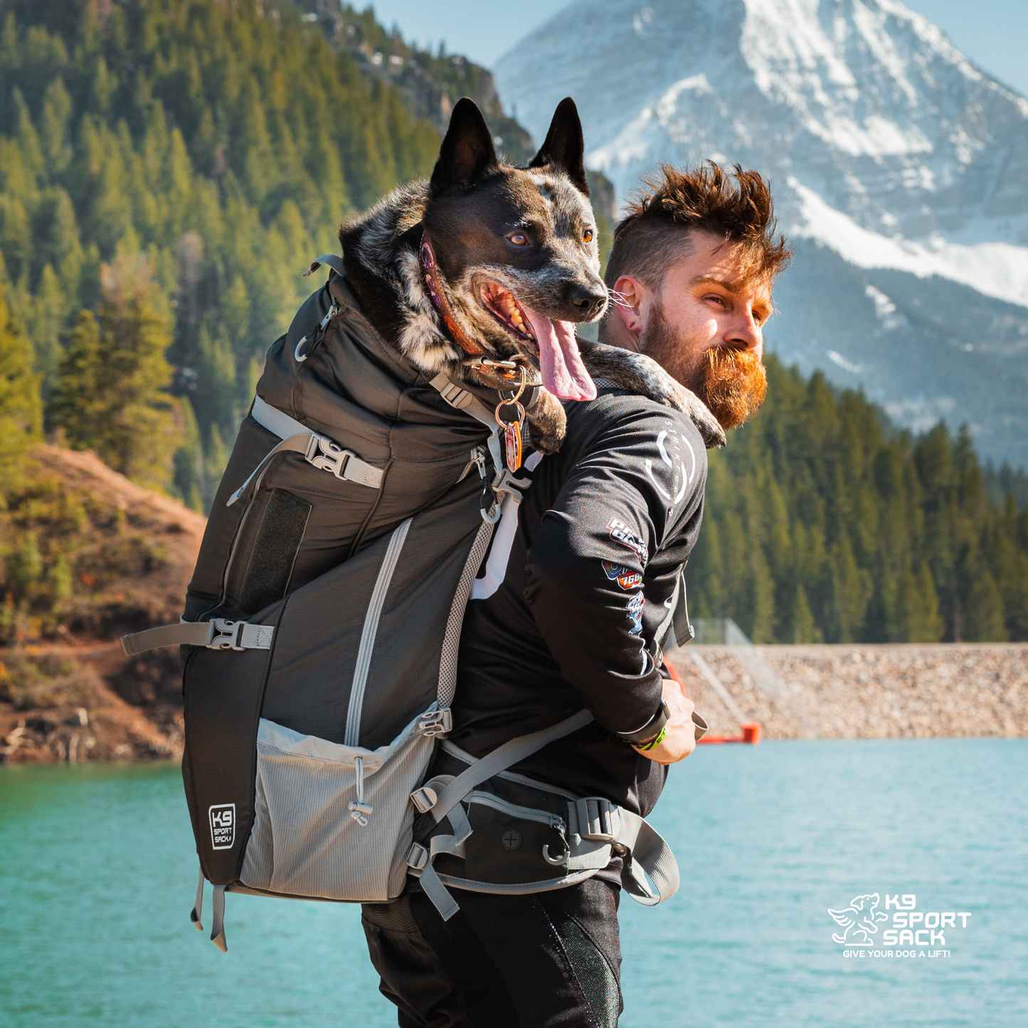 Kolossus | Big Dog Carrier & Backpacking Pack - Your Pet Connection